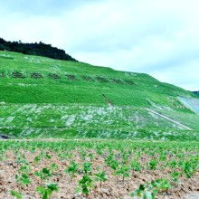 浙江水环境治理工程物化凝聚复合剂的环境检测服务