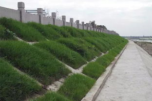 绵竹加强河道水环境治理，推进生态环境检测服务