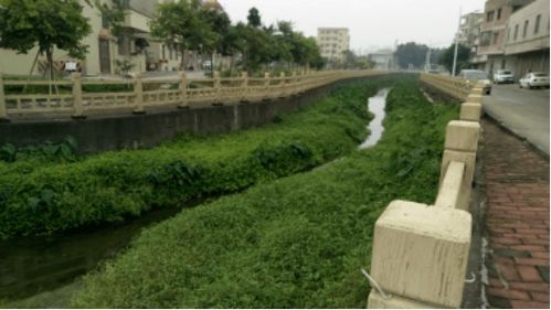 治水攻坚战，新华街水环境治理进行时——10月29日战报