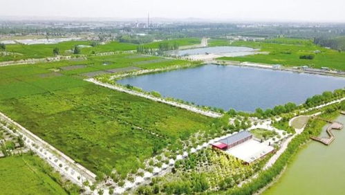 中卫市 多措并举 巩固提升水环境治理成效