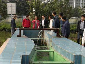 生态环境部与省生态环境厅联合调研我市污水处理厂治理工作